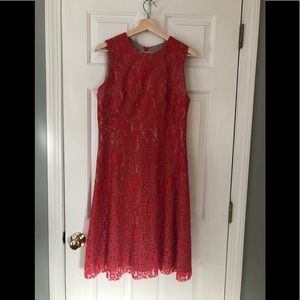 Eliza J lace sleeveless dress